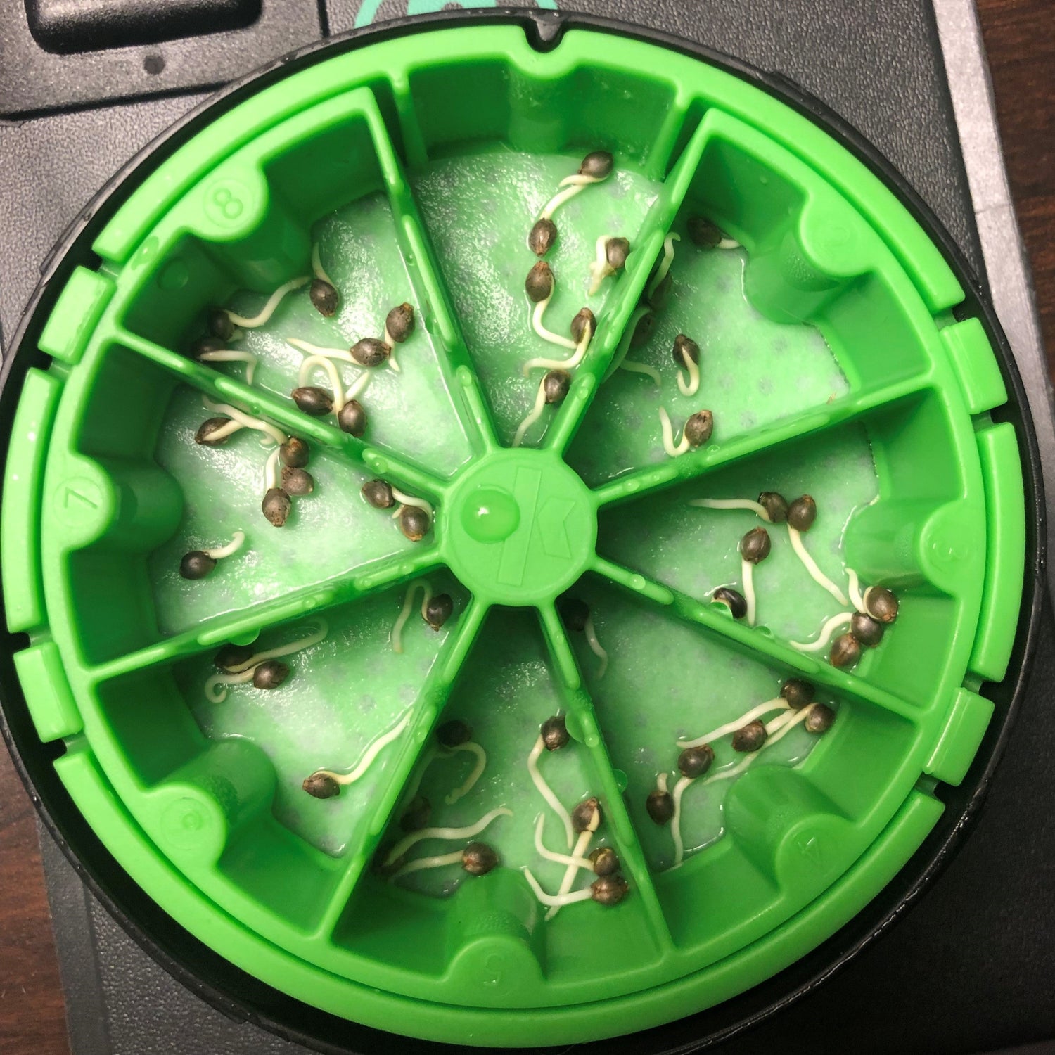 KAN® Seed Germination Bundle