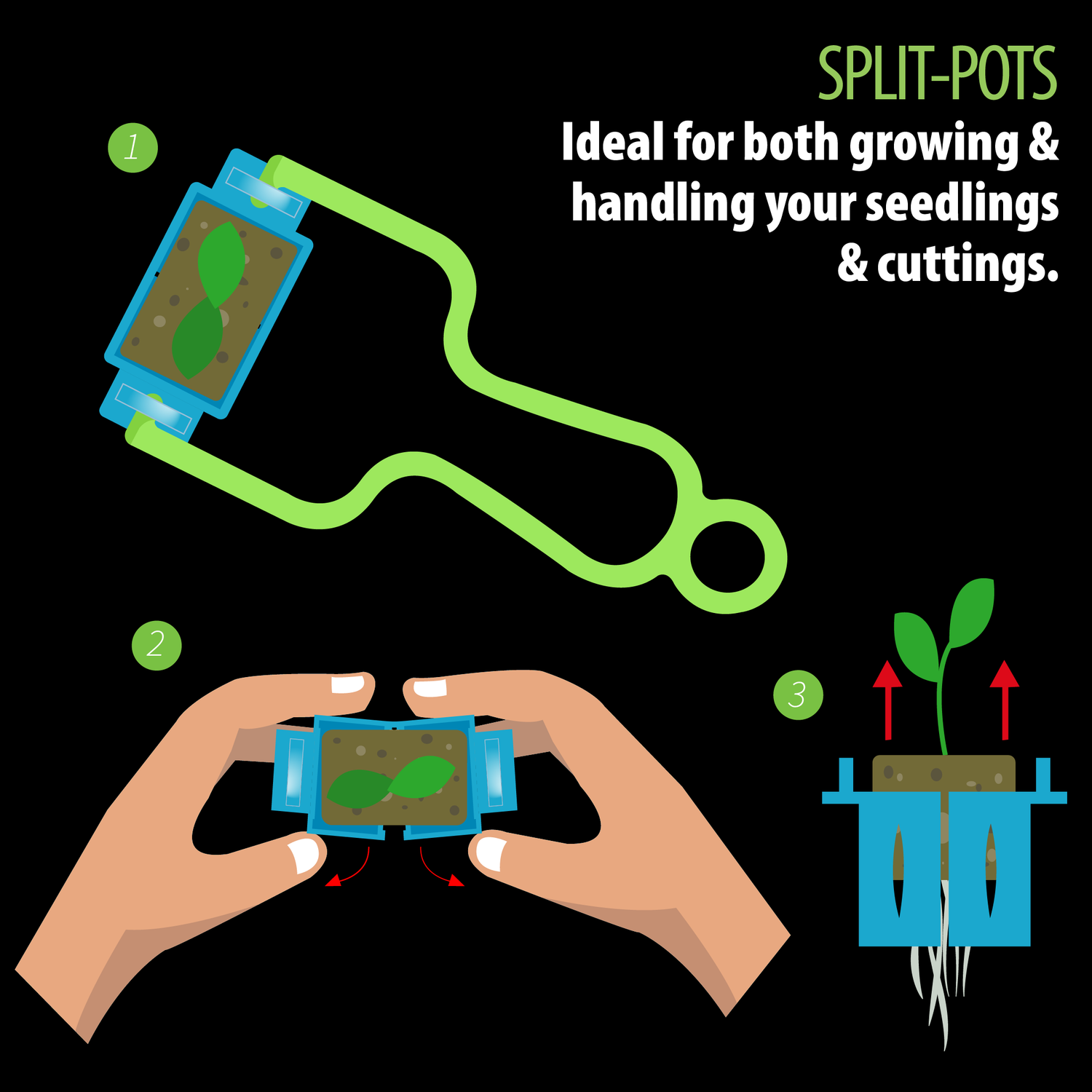 Image displays our upcoming Split-Pots being gripped by our Removal Tool. The Split-Pots are ideal designed to grow and to open effortlessly by pulling them to the side, allowing an easy and safe handling of seedlings and cuttings without causing damage to the plant or roots.