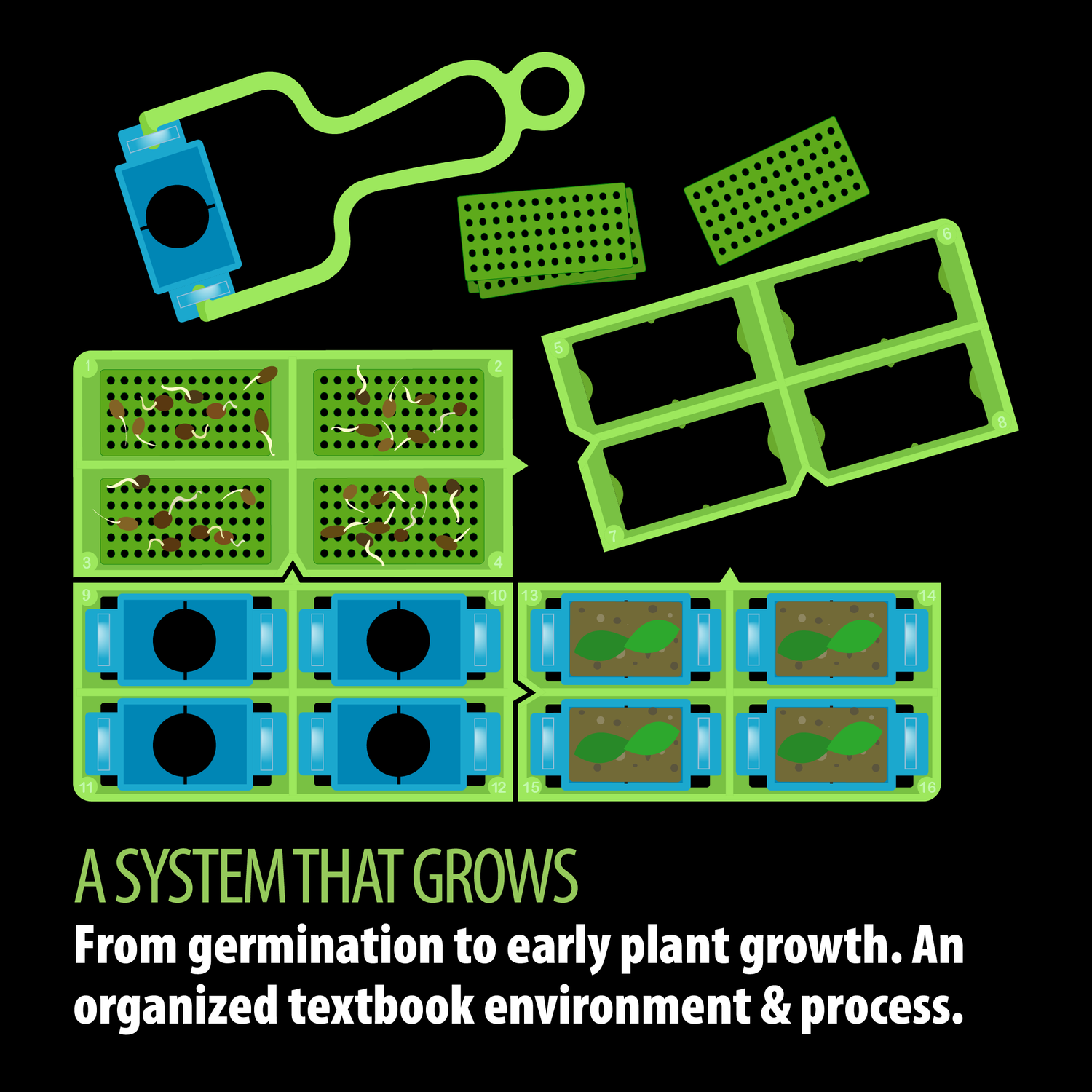 Image showcases our upcoming modular false bottom strainers - some filled with germinated seeds, some empty, and others containing soil with seedlings. It also features our Split-Pots and Removal Tool, providing everything needed for an organized, textbook germination environment and process.