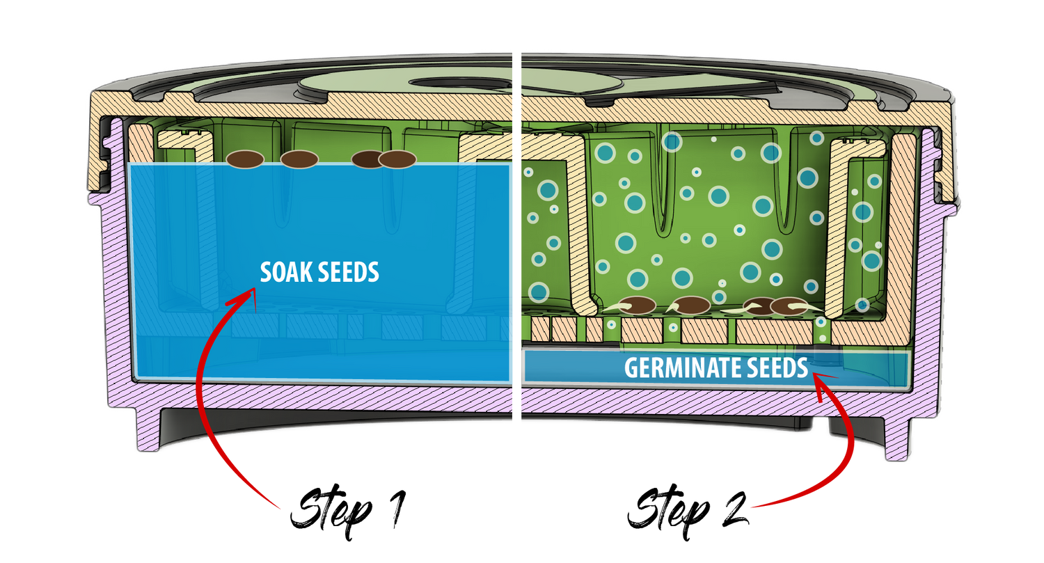 Image cutaway shows how to soak seeds in step 1 and how to germinate seeds in step 2 inside the kan canister