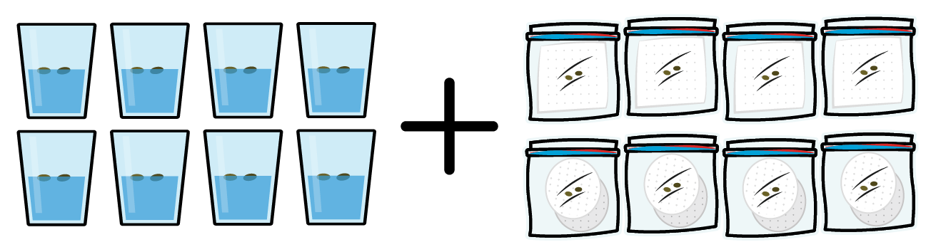 Image shows 8 plastic jars and 8 plastic bags with cotton pads, illustrating the multiple components required to replicate the functionality of our all-in-one Kan canister, highlighting its simplicity and convenience.