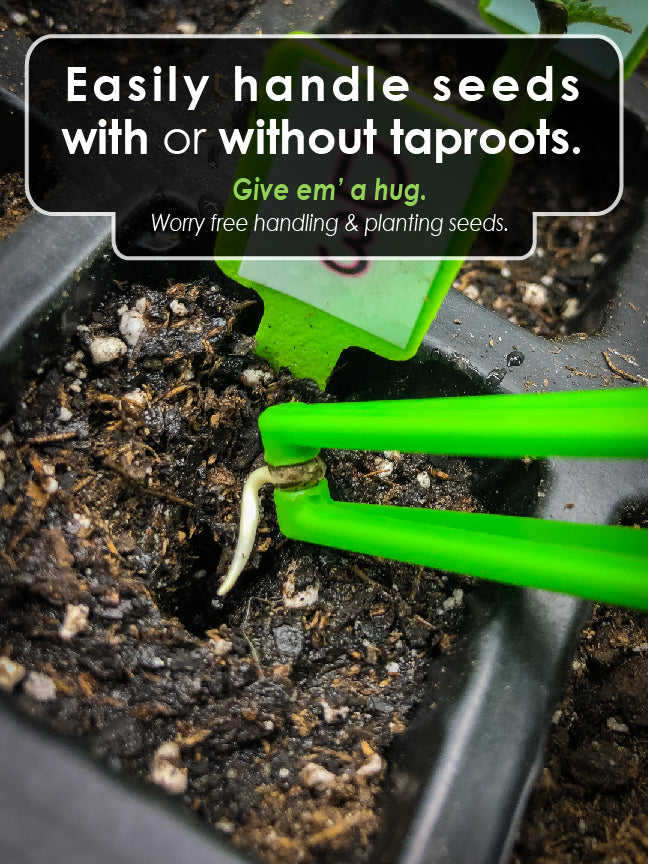 Real Picture shows our Seed Huggers, planting a seed with or without germinated taproots with an easy handle. 