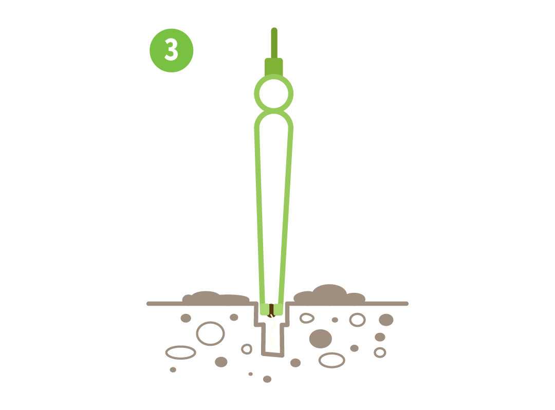 Image showing Step3: how to use the dibber side of the cupped seed tweezers to press down into your preferred growing medium, creating a hole and slot for the seed and its radicle (taproot)