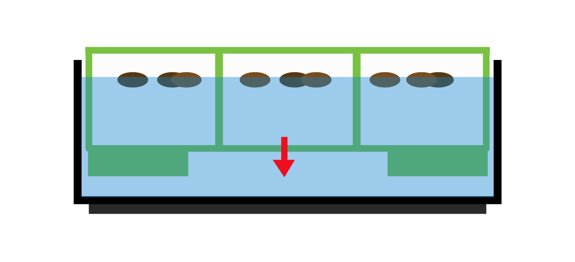 Images showing Step 1 C: placing inner strainer with partitioned seeds into the outer canister allowing the strainer to float and self-sink. 