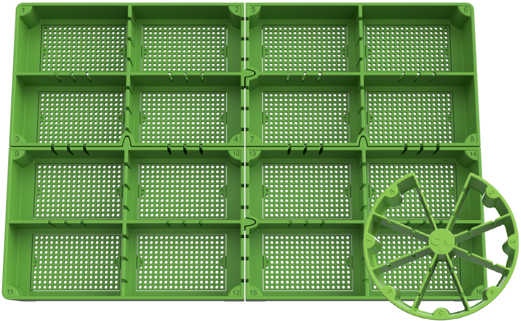 seed germination tray labeled partitions