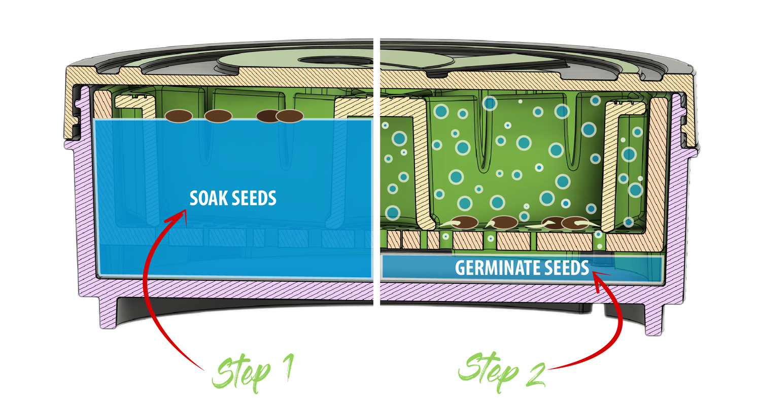 Image cutaway shows how to soak seeds in step 1 and how to germinate seeds in step 2 inside the kan canister